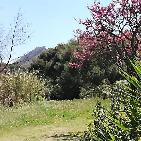 35m2 Climatise, 10mn Des Calanques * La Ciotat